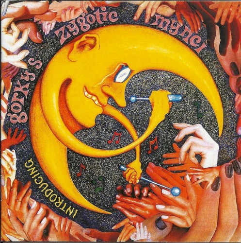 Introducing...Gorky’s Zygotic Mynci封面