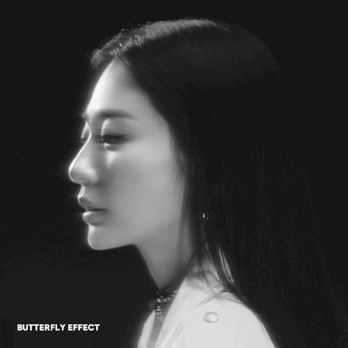 Butterfly Effect封面