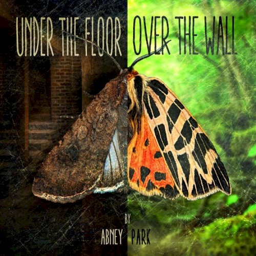 Under the Floor, Over the Wall封面