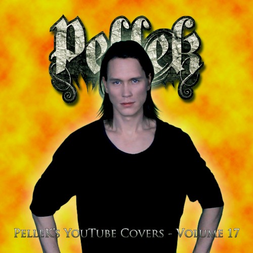 Covers Vol. 17封面