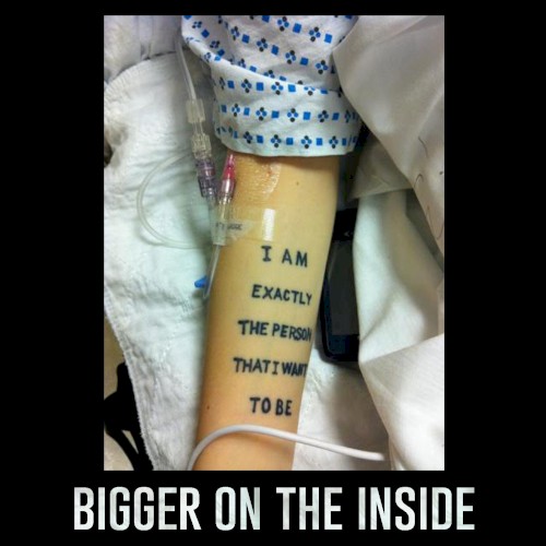 Bigger on the Inside封面