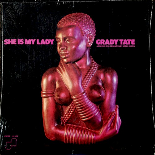 She Is My Lady封面