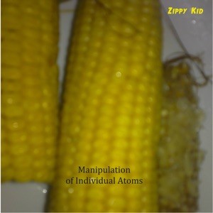 Manipulation of Individual Atoms封面