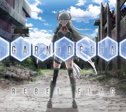 REBEL FLAG封面