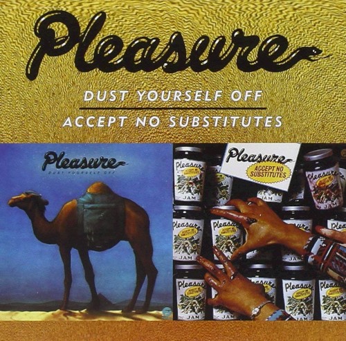 Dust Yourself Off / Accept No Substitutes封面