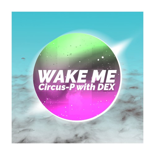 Wake Me封面