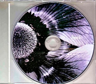 ANEMONE封面