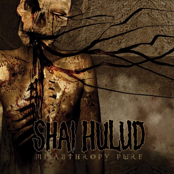 Misanthropy Pure封面