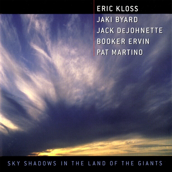 Sky Shadows / In the Land of the Giants封面