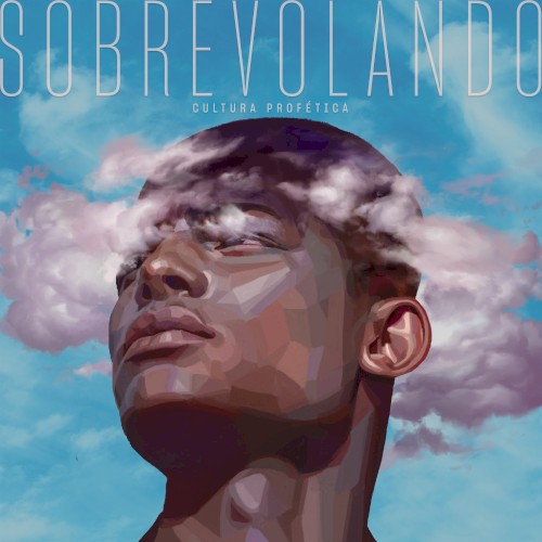 Sobrevolando封面