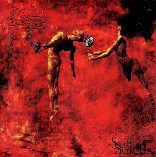 The Sullen Sulcus封面