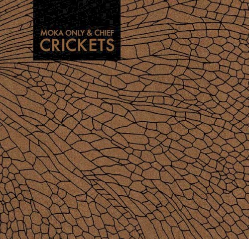 Crickets封面