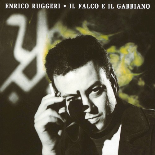 Il falco e il gabbiano封面