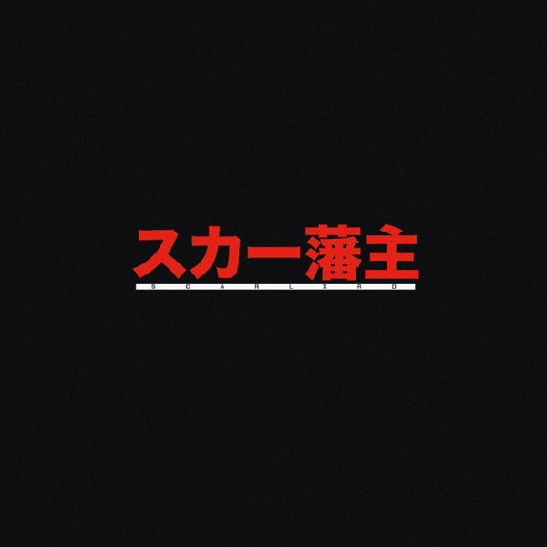 スカー藩主封面
