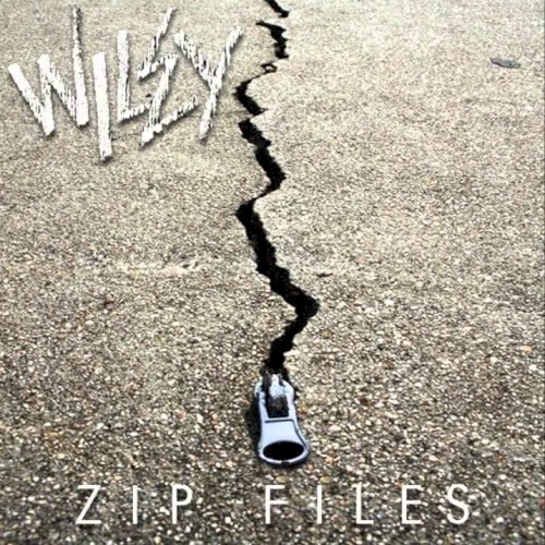 Zip Files封面