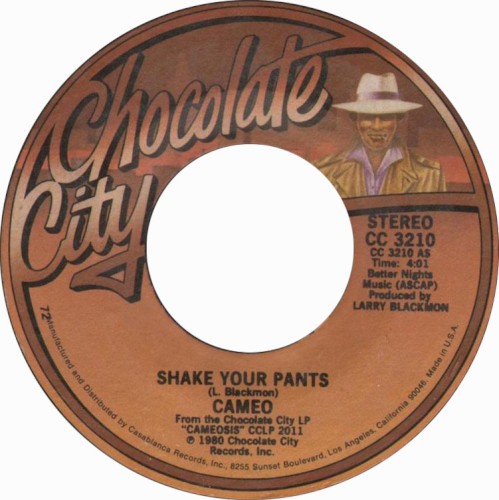 Shake Your Pants封面