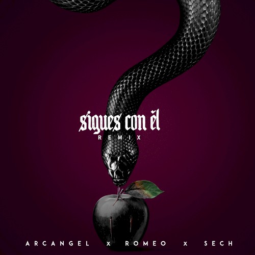 Sigues con él (remix)封面