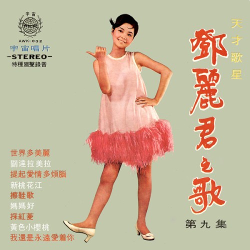鄧麗君之歌第九集封面