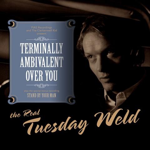 (Still) Terminally Ambivalent Over You封面