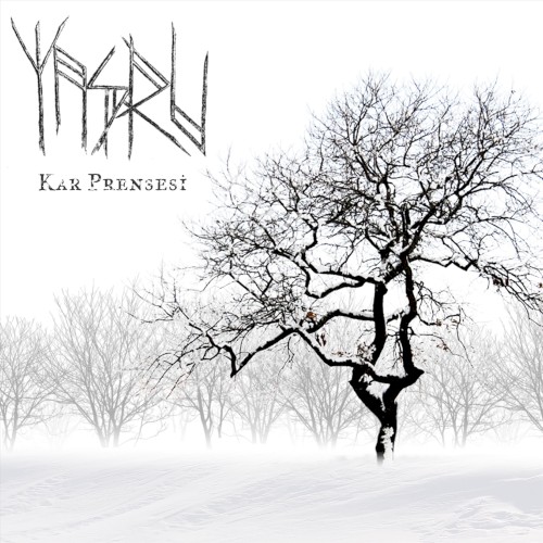 Kar Prensesi封面