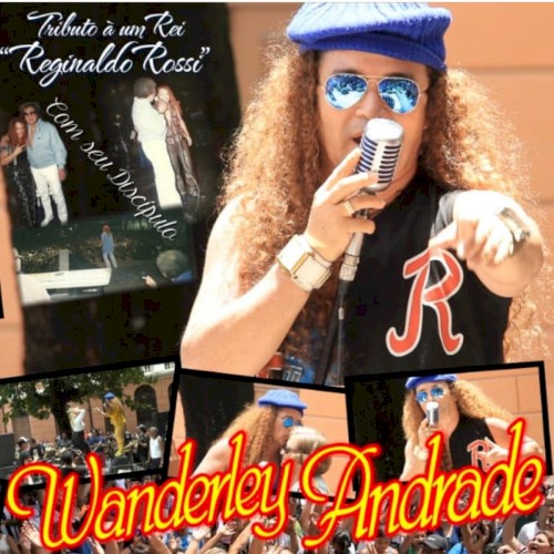 Tributo À Um Rei "Reginaldo Rossi" Com Seu Discípulo封面