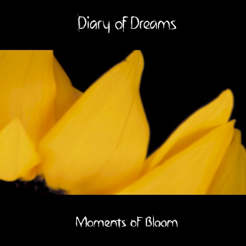 Moments of Bloom封面