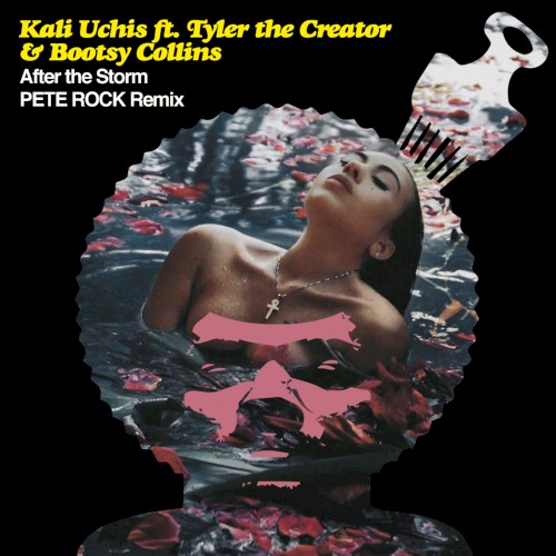 After the Storm (Pete Rock remix)封面