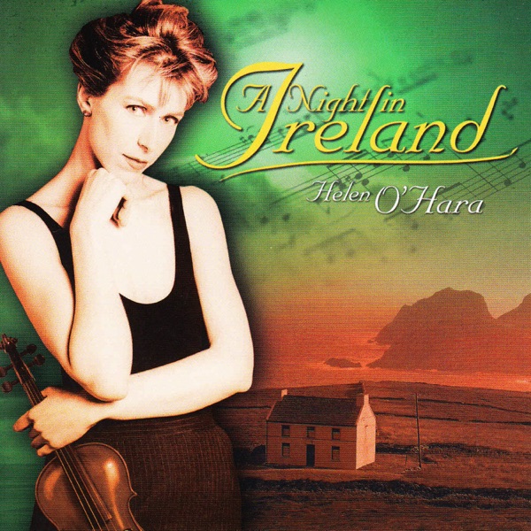 A Night In Ireland封面