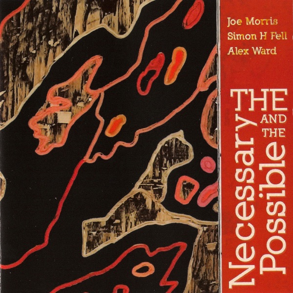 The Necessary And The Possible封面