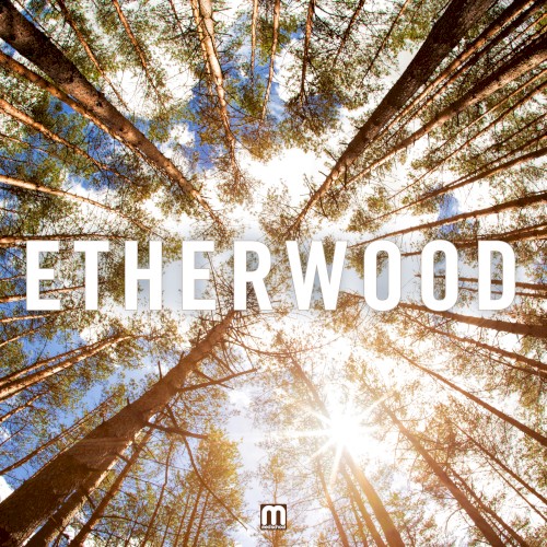 Etherwood封面