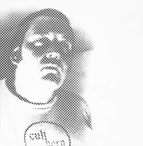 I’m a Cult Hero封面