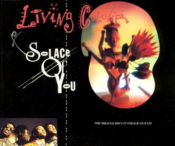 Solace of You封面
