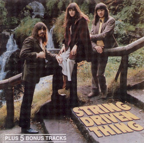 String Driven Thing封面