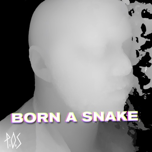 Born A Snake封面