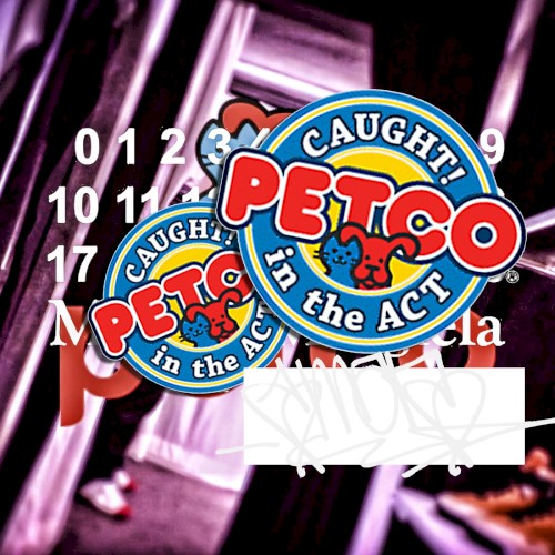 Petco封面