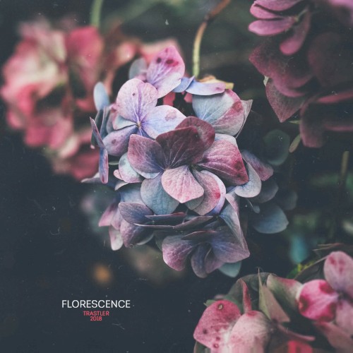 Florescence封面
