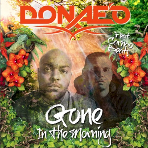 Gone in the Morning Remixes封面