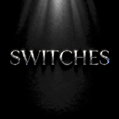 Switches封面