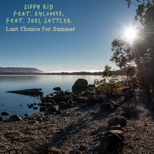 Last Chance for Summer封面