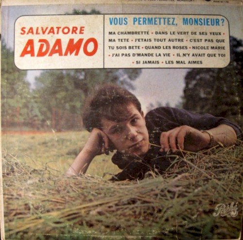 Vous permettez, monsieur ?封面