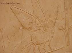 The Pharoah's Bee封面