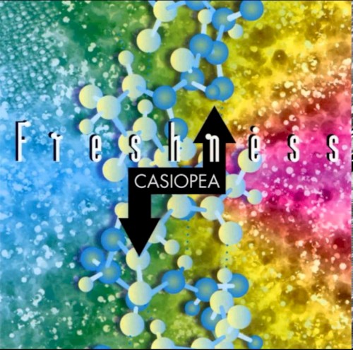 Freshness封面