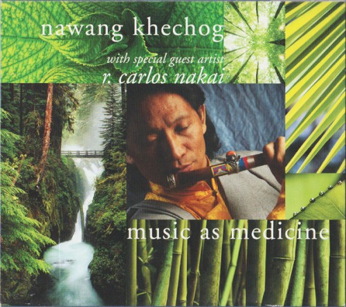 Music as Medicine封面