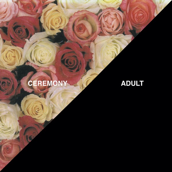 Adult封面