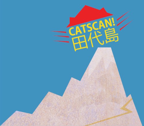 田代島封面