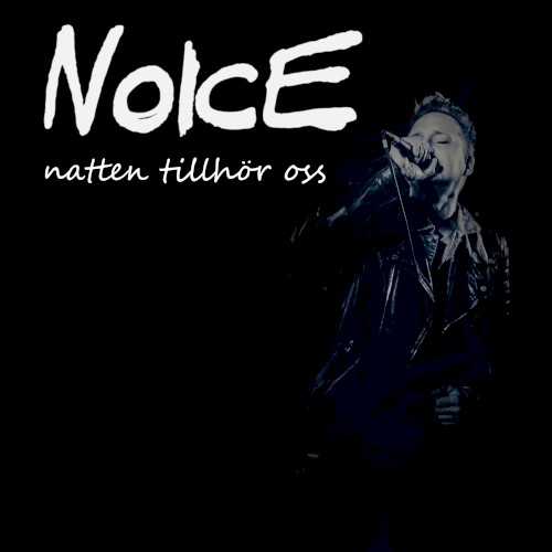 Natten tillhör oss封面