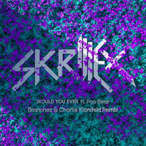Would You Ever (Branchez & Charlie Klarsfeld remix)封面