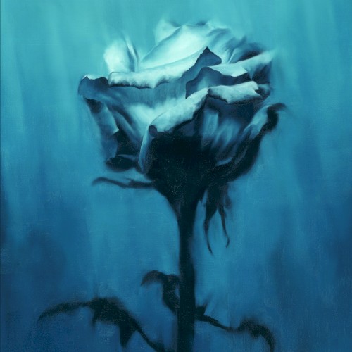 Deep inside + Unknown best封面