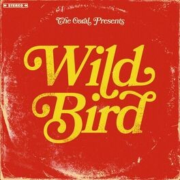 Wild Bird封面