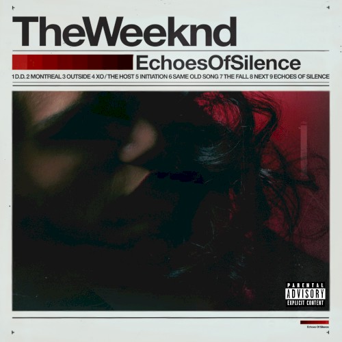 Echoes of Silence封面